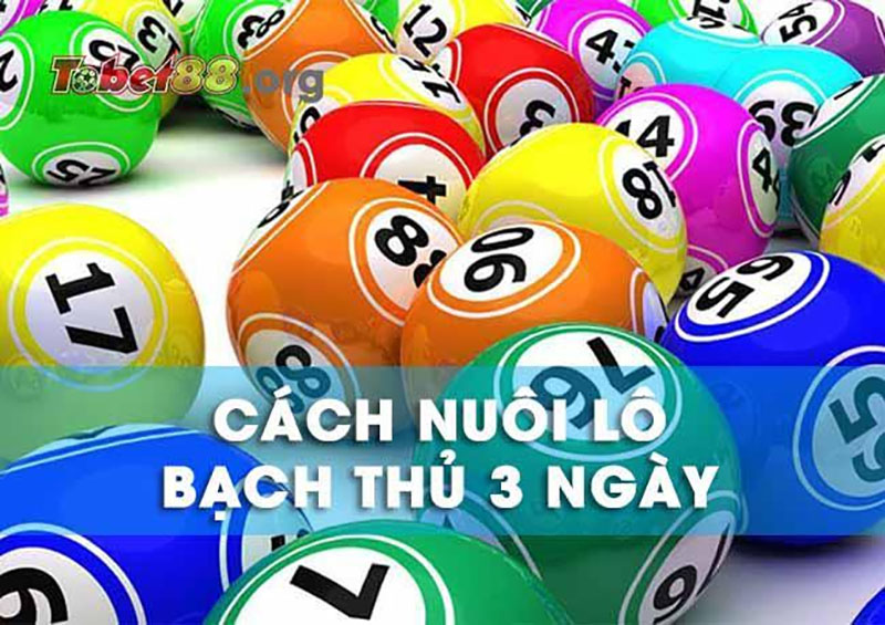 Lô Bạch Thủ Khung 3 Ngày hiệu quả cao nhất cho tân thủ Ưu điểm của phương pháp Lô bạch thủ khung 3 ngày