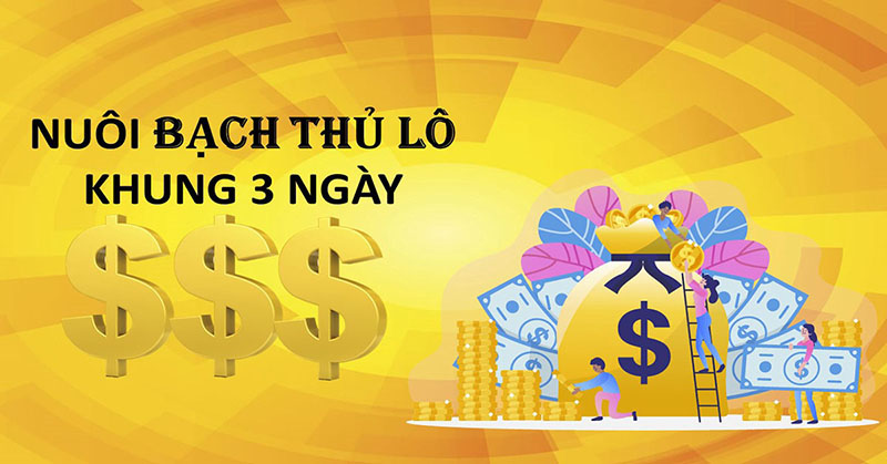Lô Bạch Thủ Khung 3 Ngày hiệu quả cao nhất cho tân thủ Ghép cầu các giải để nuôi lô bạch thủ khung 3 ngày